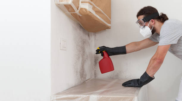 Professional Bathroom Mold Removal technician working in La Vergne, TN